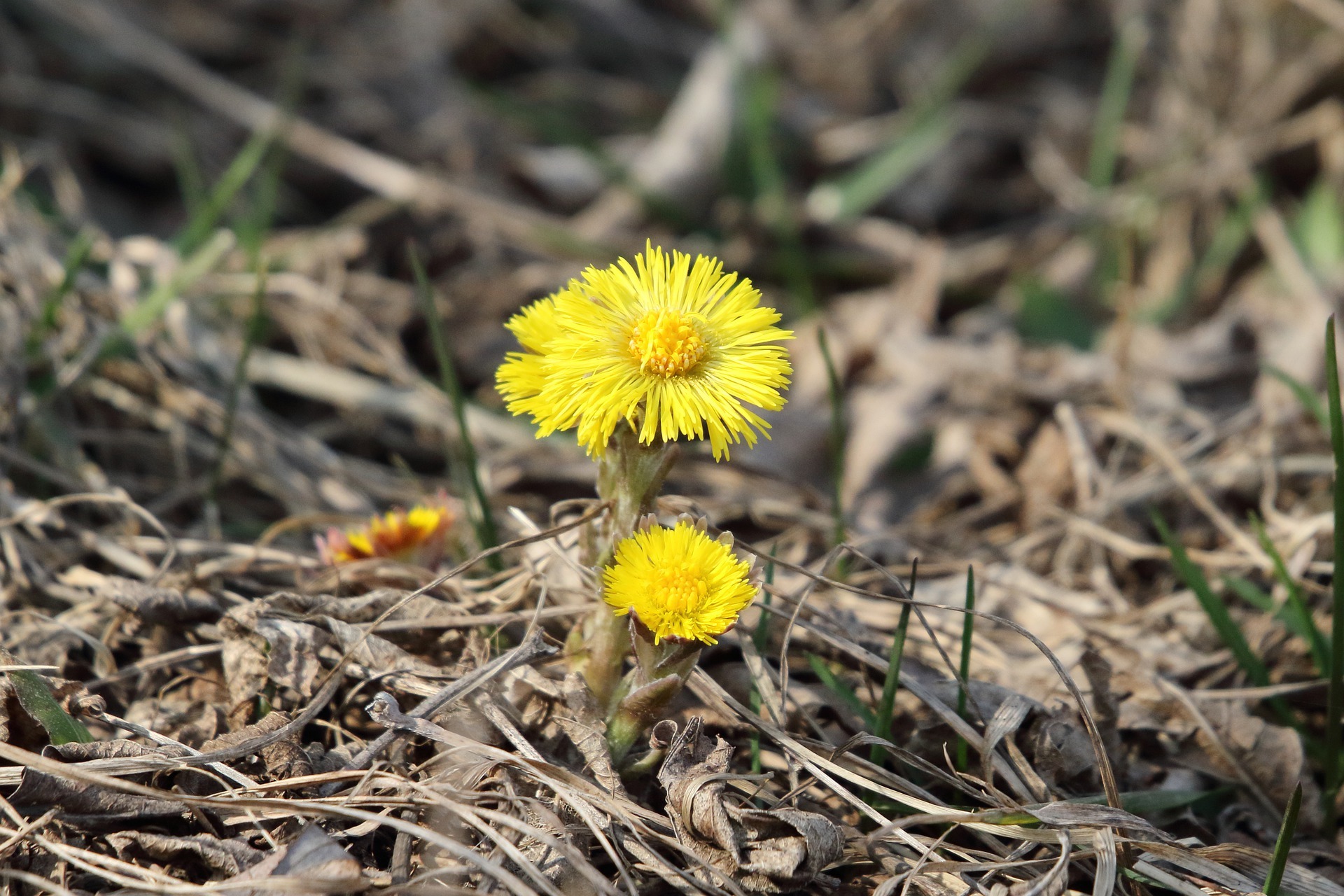 В четверг в Кировской области обещают до  19 °C