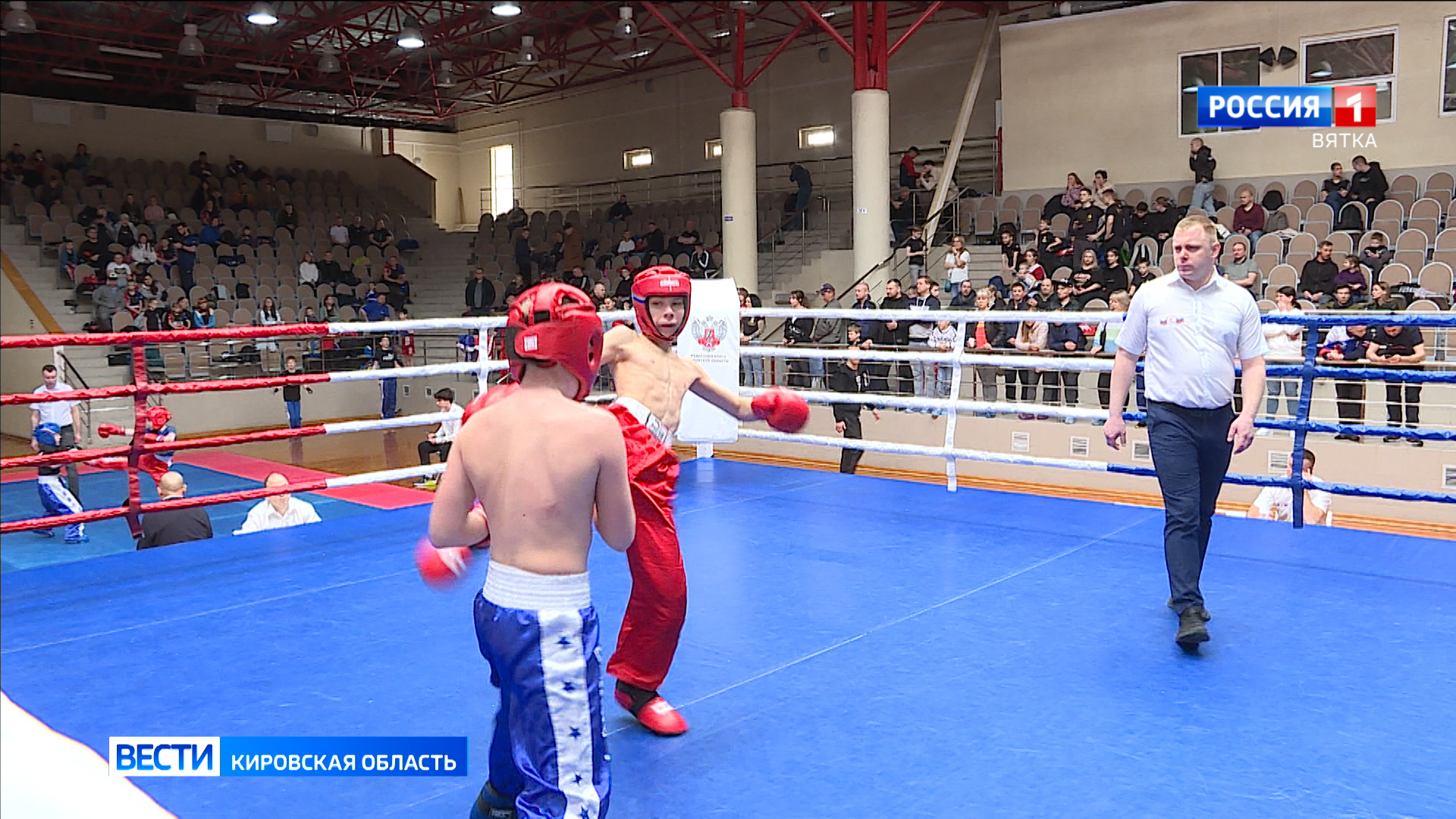 В Кирове прошел турнир по кикбоксингу, посвященный Дню Победы