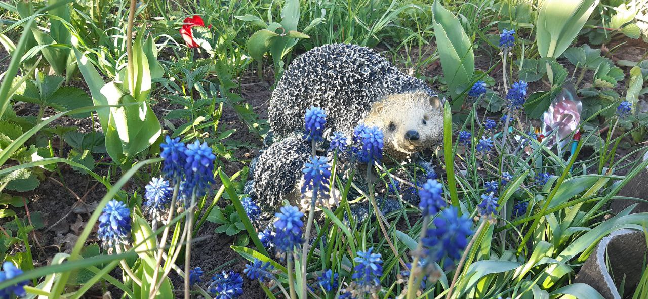 В четверг подует южный ветер и погода развернется на тепло