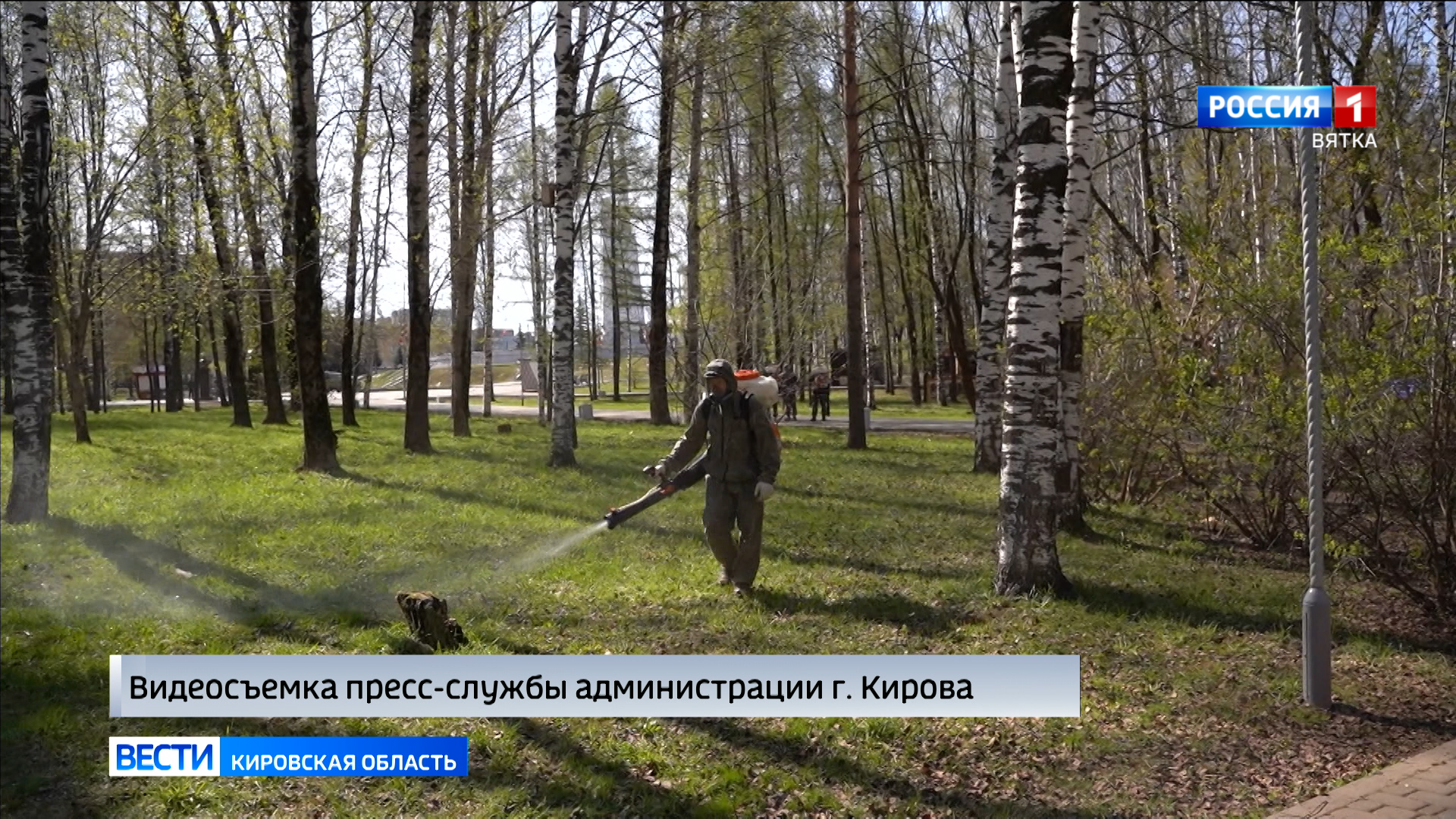 Кировчанам рассказали, как защититься от укусов клещей