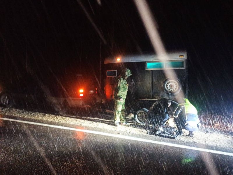 Сотрудники ГИБДД помогли лошади и ее владельцу добраться домой