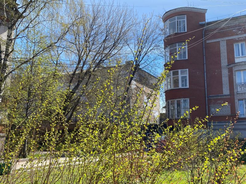 В понедельник в Кировской области возможны заморозки на почве