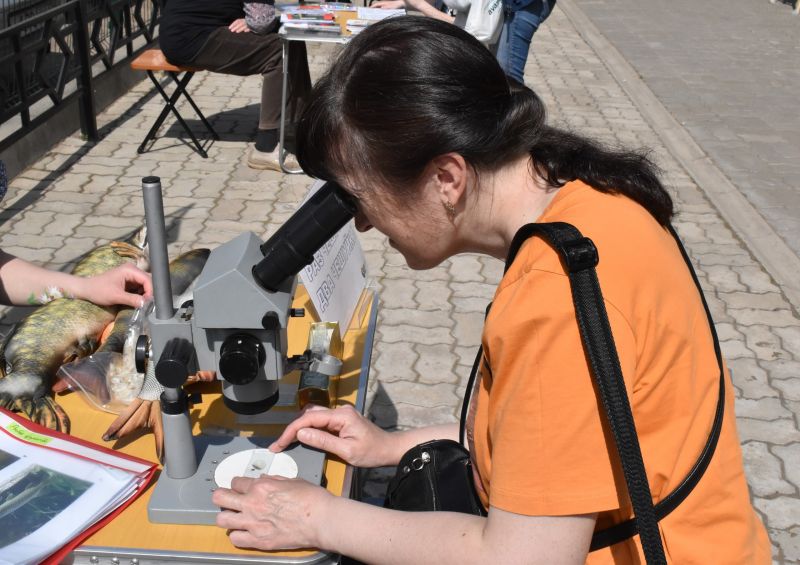 Кировчан приглашают на «День биоразнообразия»