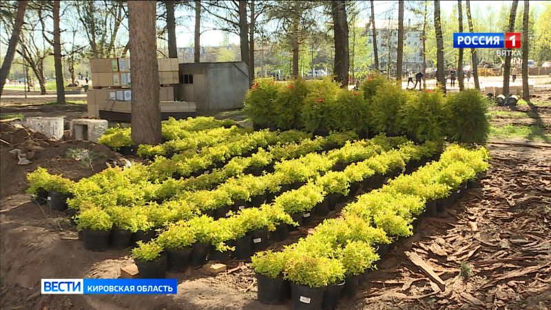 Продолжается благоустройство парка имени Кирова