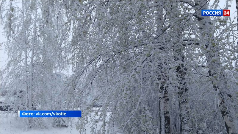 Обзор социальных сетей Кировской области