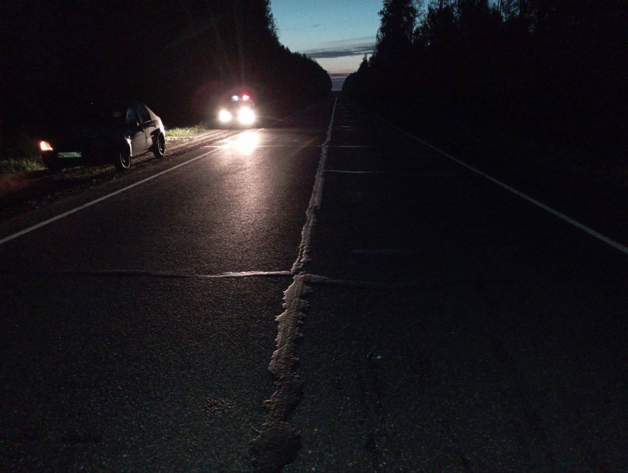 В Оричевском районе водитель в темноте сбил лося на дороге