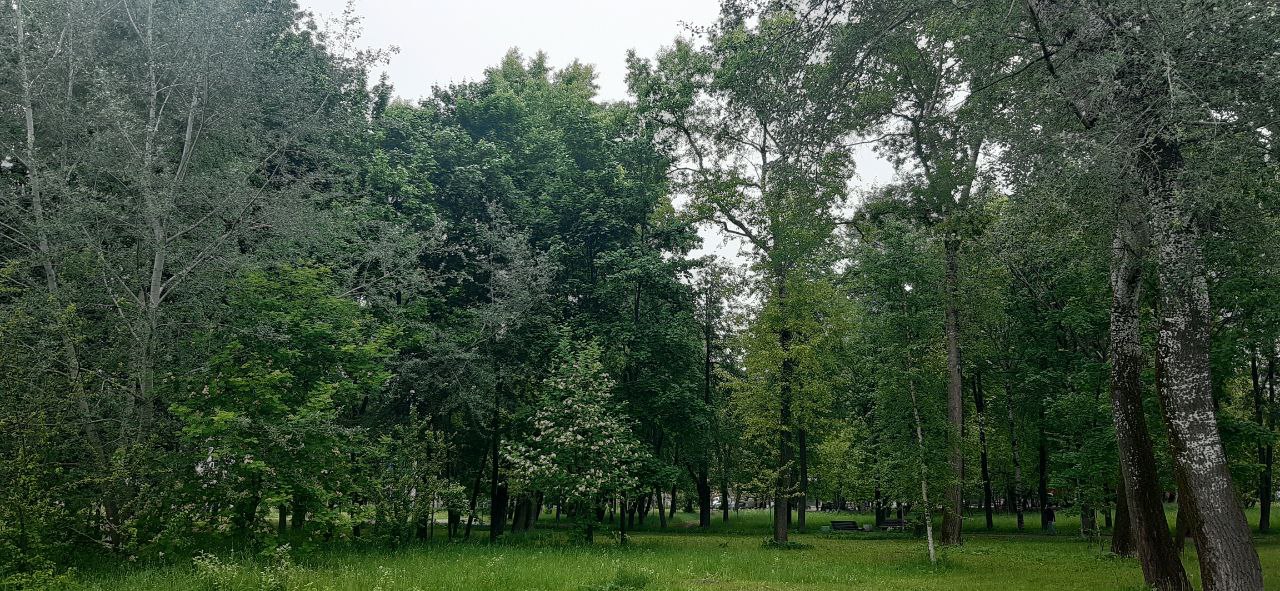 В четверг в Кировской области прогнозируют до  34 °C жары