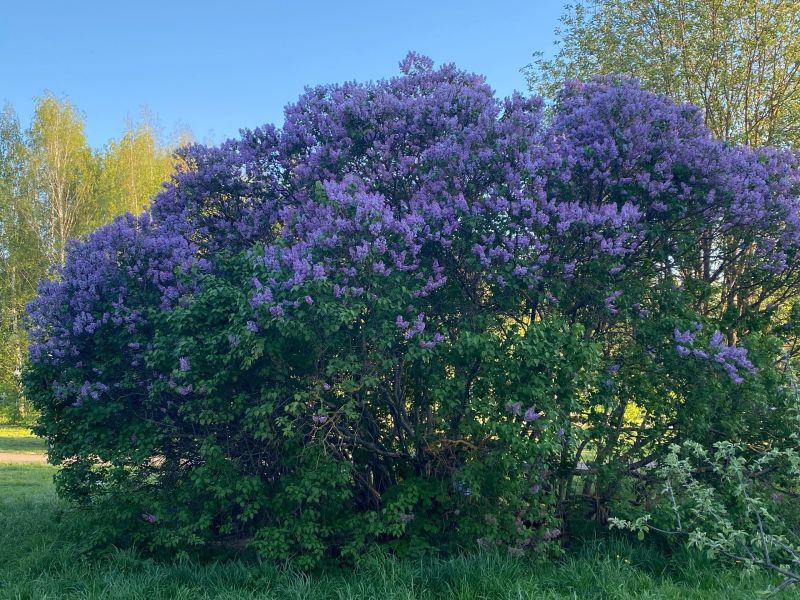 Во вторник в Кировской области возможны грозы