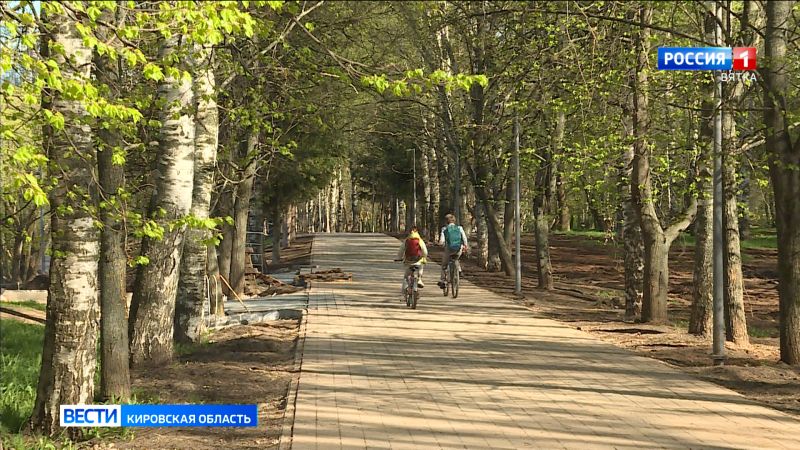 При реконструкции парка имени Кирова похищено более километра кабеля