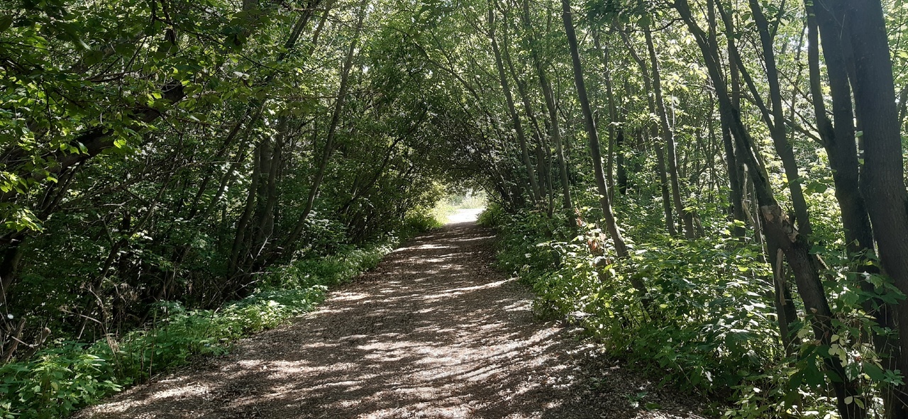 В среду в Кировской области прогнозируют сильную жару