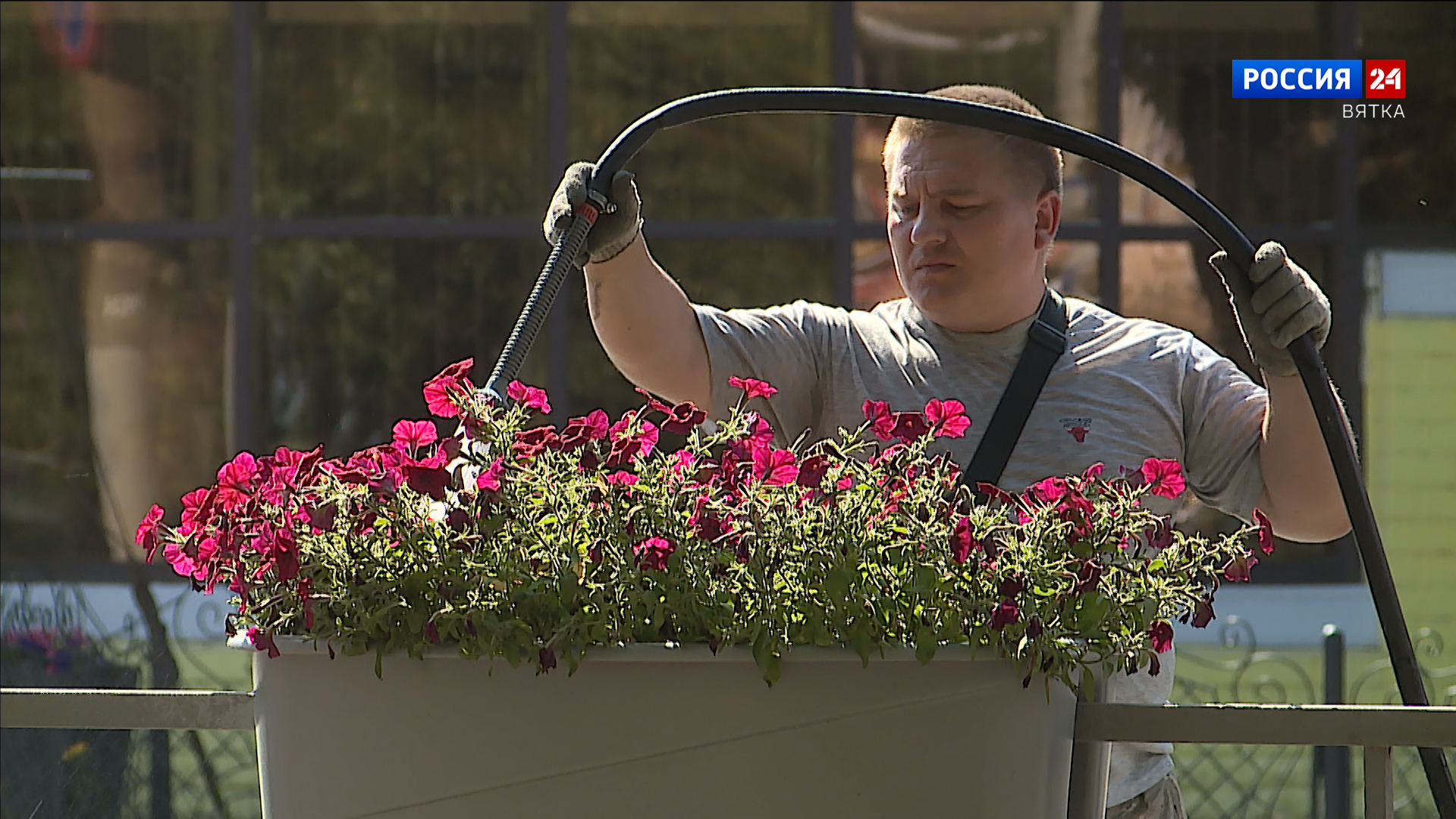 В Кирове активно облагораживают клумбы с цветами