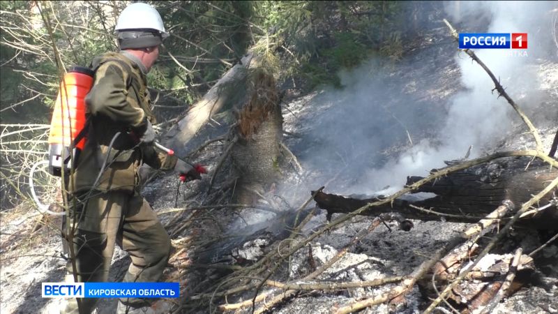 В лесах Кировской области сохраняется высокая пожарная опасность