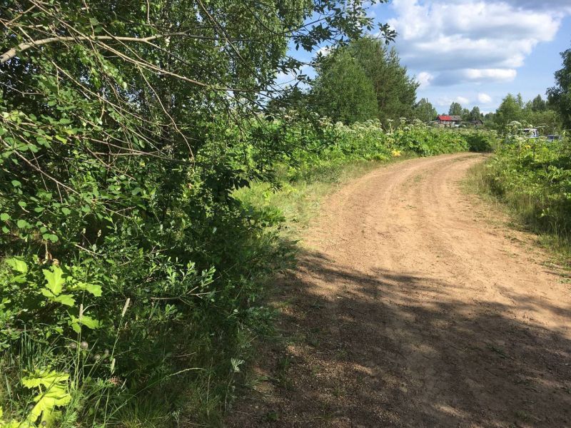 В Белохолуницком районе на полевой дороге погиб мотоциклист