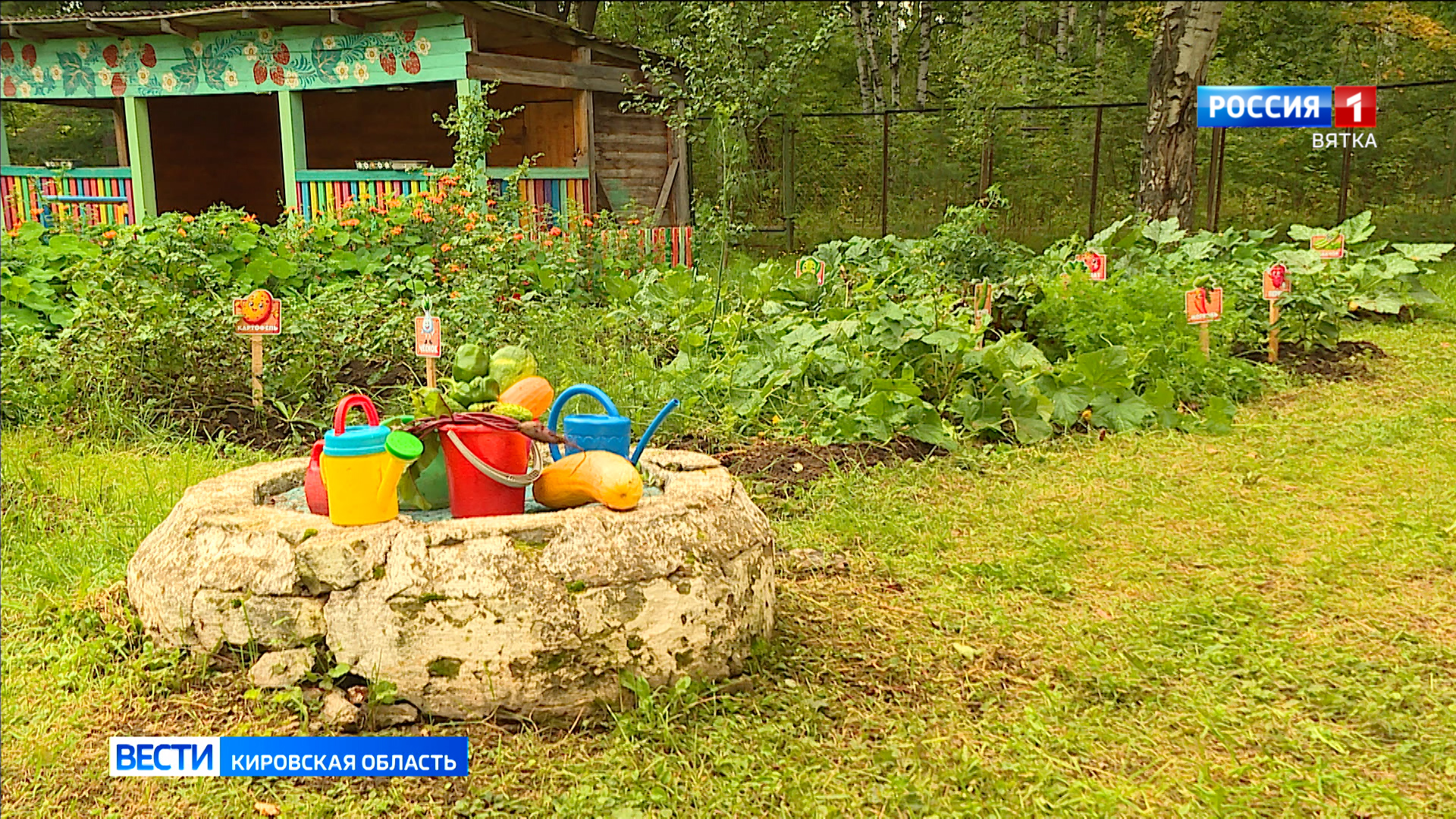 В детском саду «Сказка» в Зуевке дошколята ухаживают за огородом