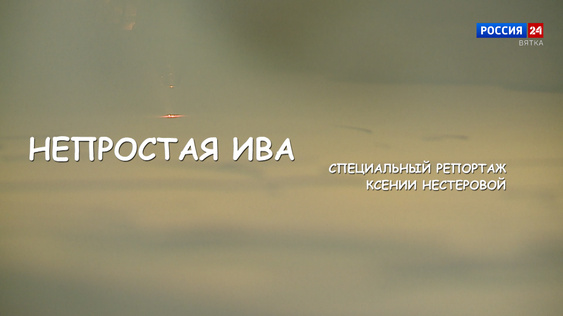 Специальный репортаж Ксении Нестеровой «Непростая ива» (03.08.2024)