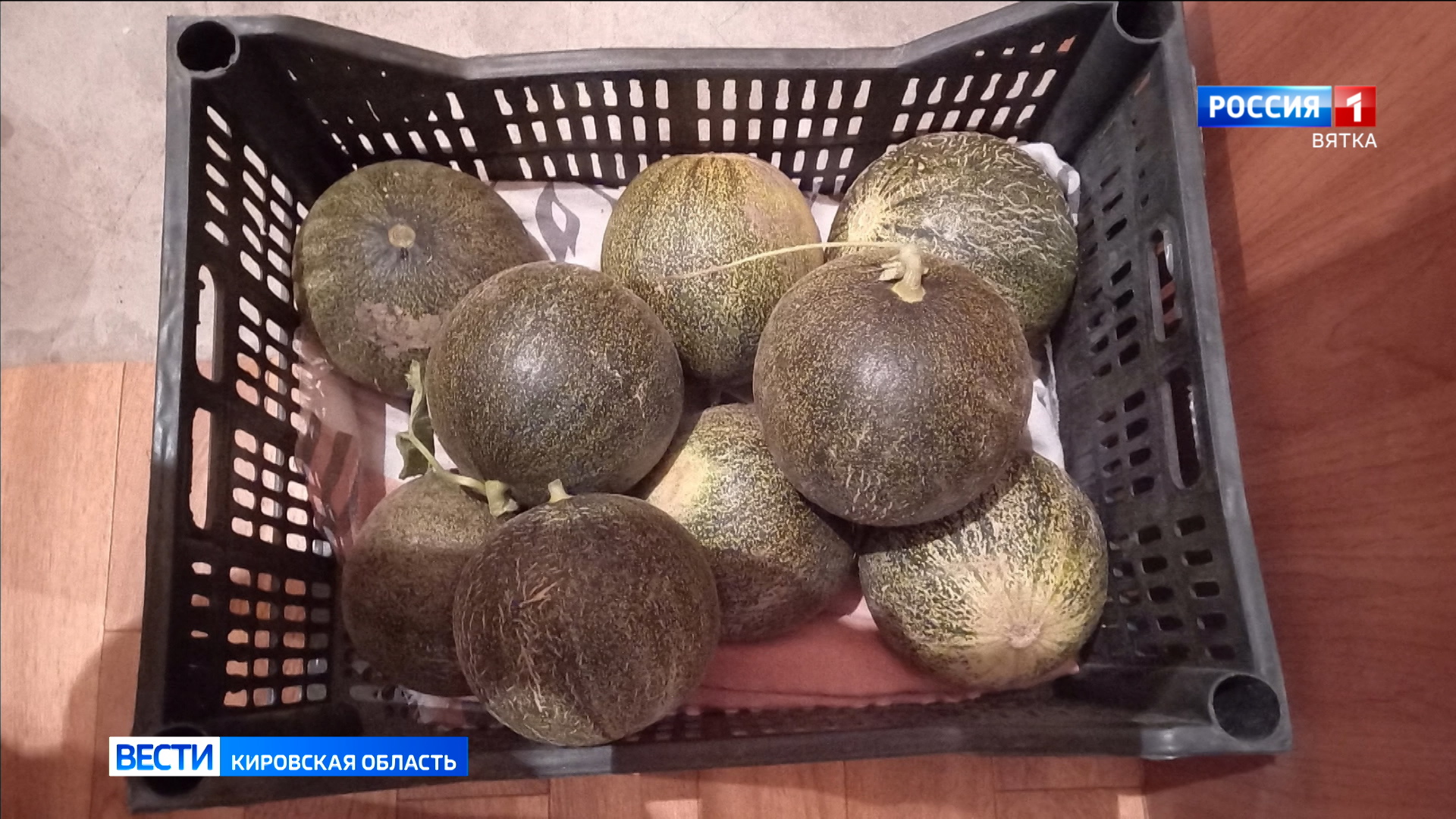 Обзор новостей районов Кировской области