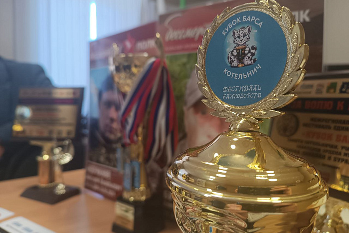 В Кировскую область съедутся звезды бразильского джиу-джитсу