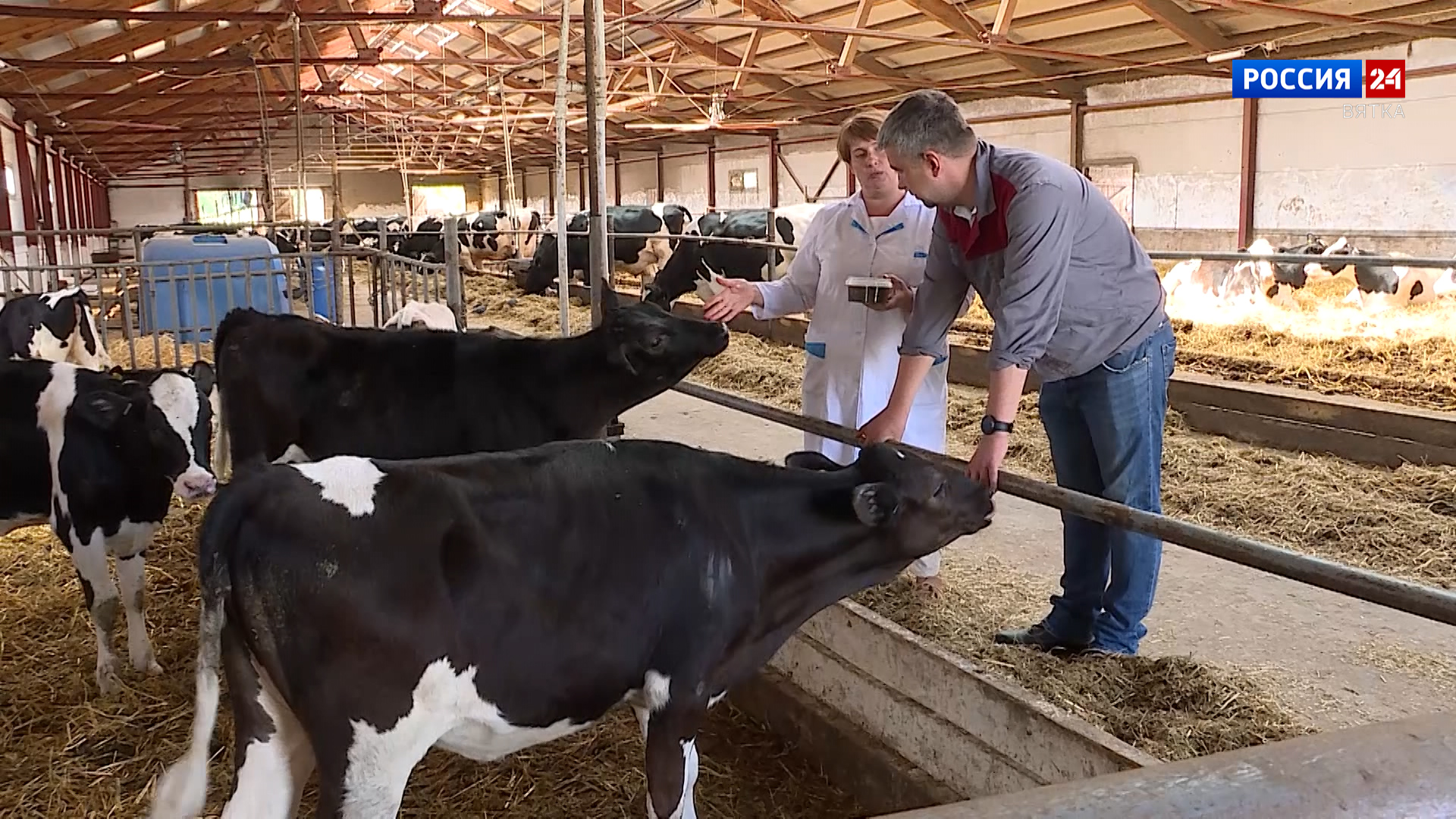 Губерния (31.08.2024)