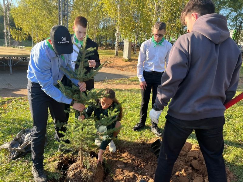 В Кочуровском парке высадили 25 саженцев голубых елей