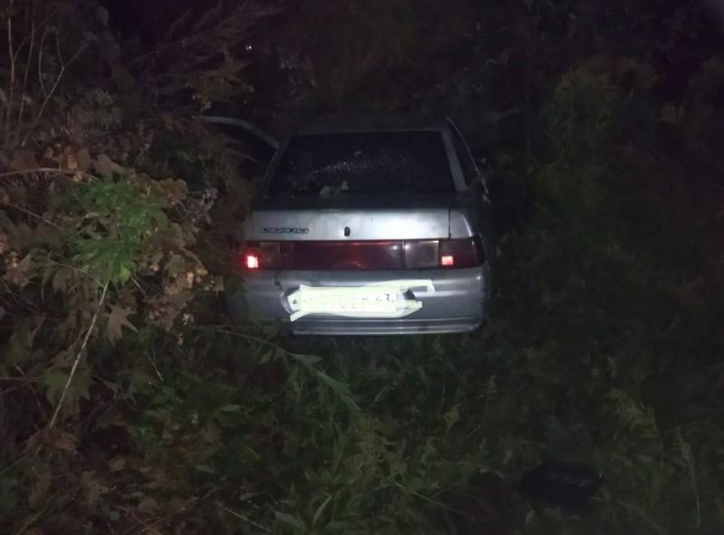 В Кировской области водитель с признаками опьянения сбил трех пешеходов: два человека погибли