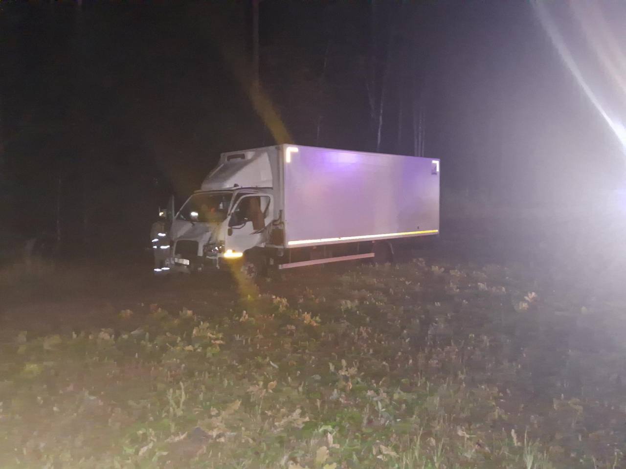 В Яранском районе водитель пострадал в ДТП с лосем