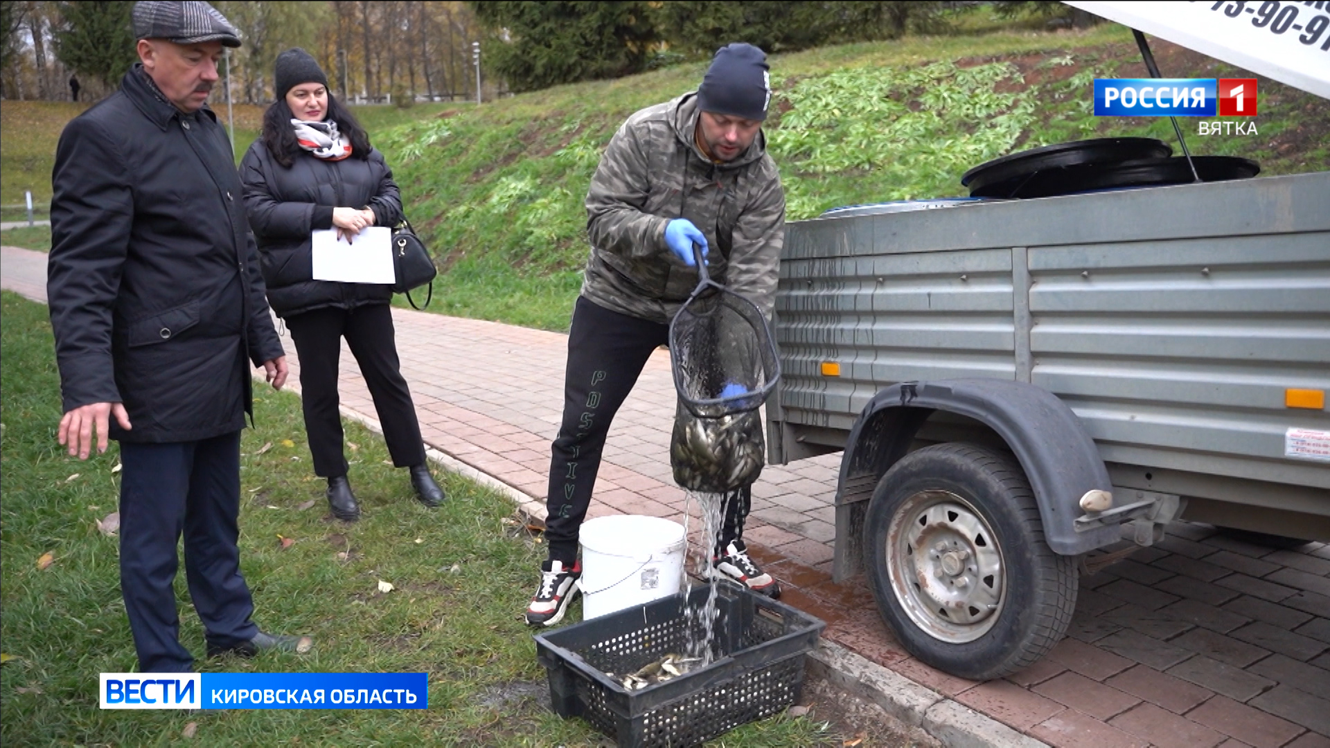 В верхний пруд парка имени Кирова выпустили мальков карпа, окуня и щуки