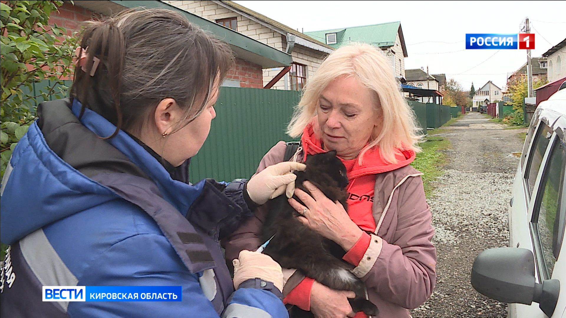 В Кировской области проводится плановая вакцинация домашних животных