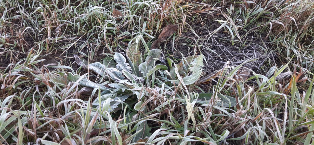 В пятницу в Кировской области прогнозируют облачную погоду