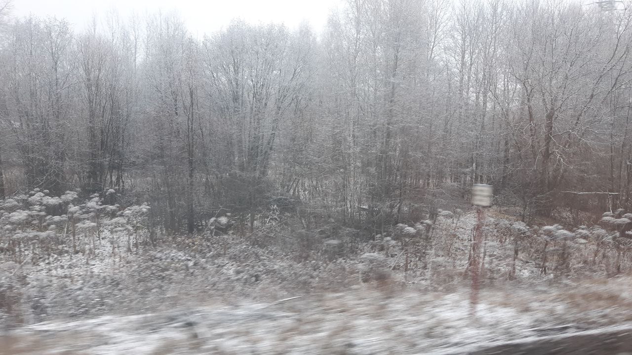 В среду в Кировской области прогнозируют пасмурную погоду