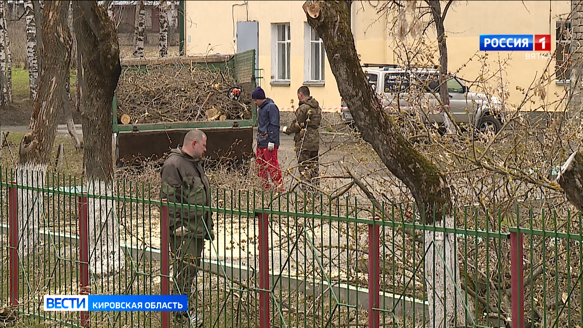 В Кирове проходит санитарная обрезка деревьев