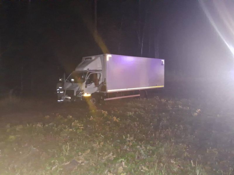 В Яранском районе водитель пострадал в ДТП с лосем