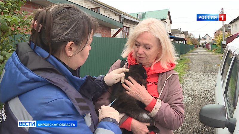 В Кировской области проводится плановая вакцинация домашних животных