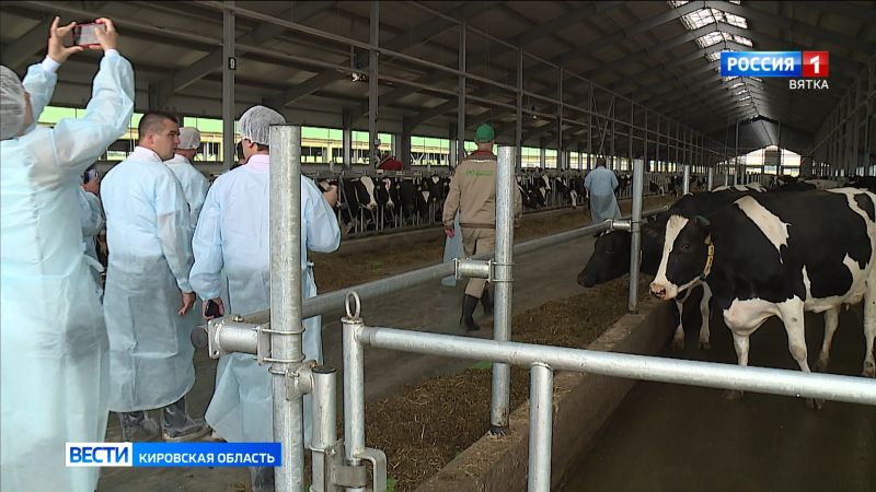 В Кировской области молодые ветеринары будут получать «подъемные»