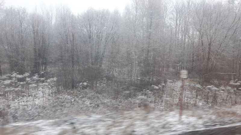 В среду в Кировской области прогнозируют пасмурную погоду