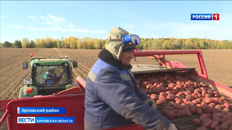 В Кировской области завершается уборочная кампания