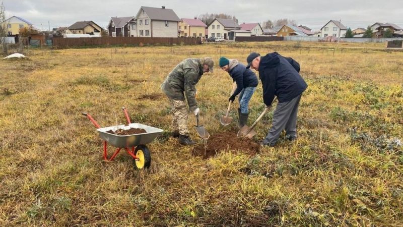 В Дороничах активисты благоустроили парк