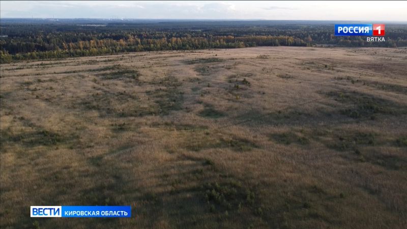 В минэкологии рассказали, почему нельзя забирать из природы туши диких животных