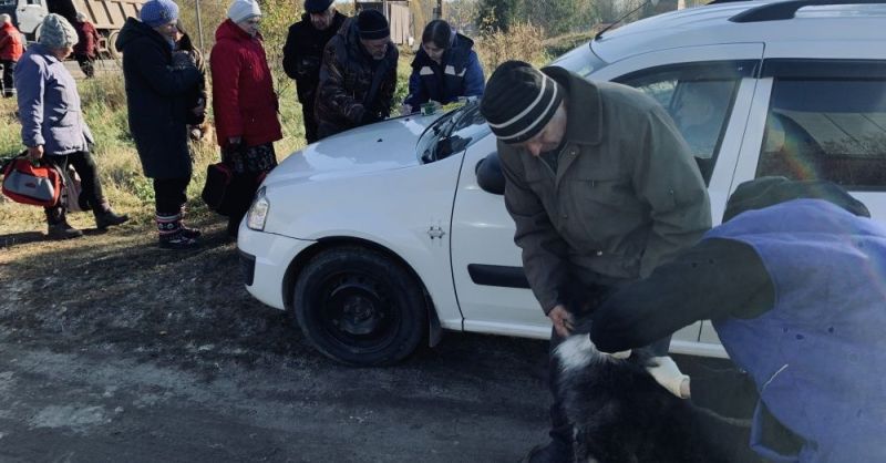 В Нововятском районе пройдет вакцинация домашних животных