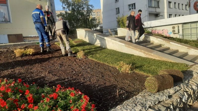 В Кирове продолжают сезонное озеленение города