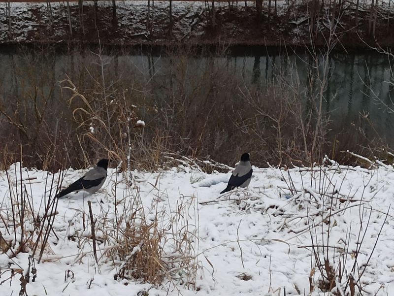 В воскресенье в Кирове обещают снежным