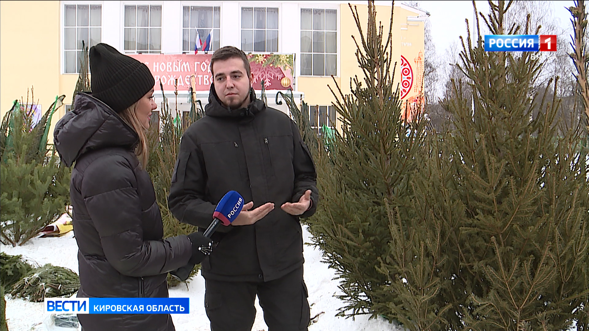 Кировчанам рассказали, как выбрать новогоднюю елку