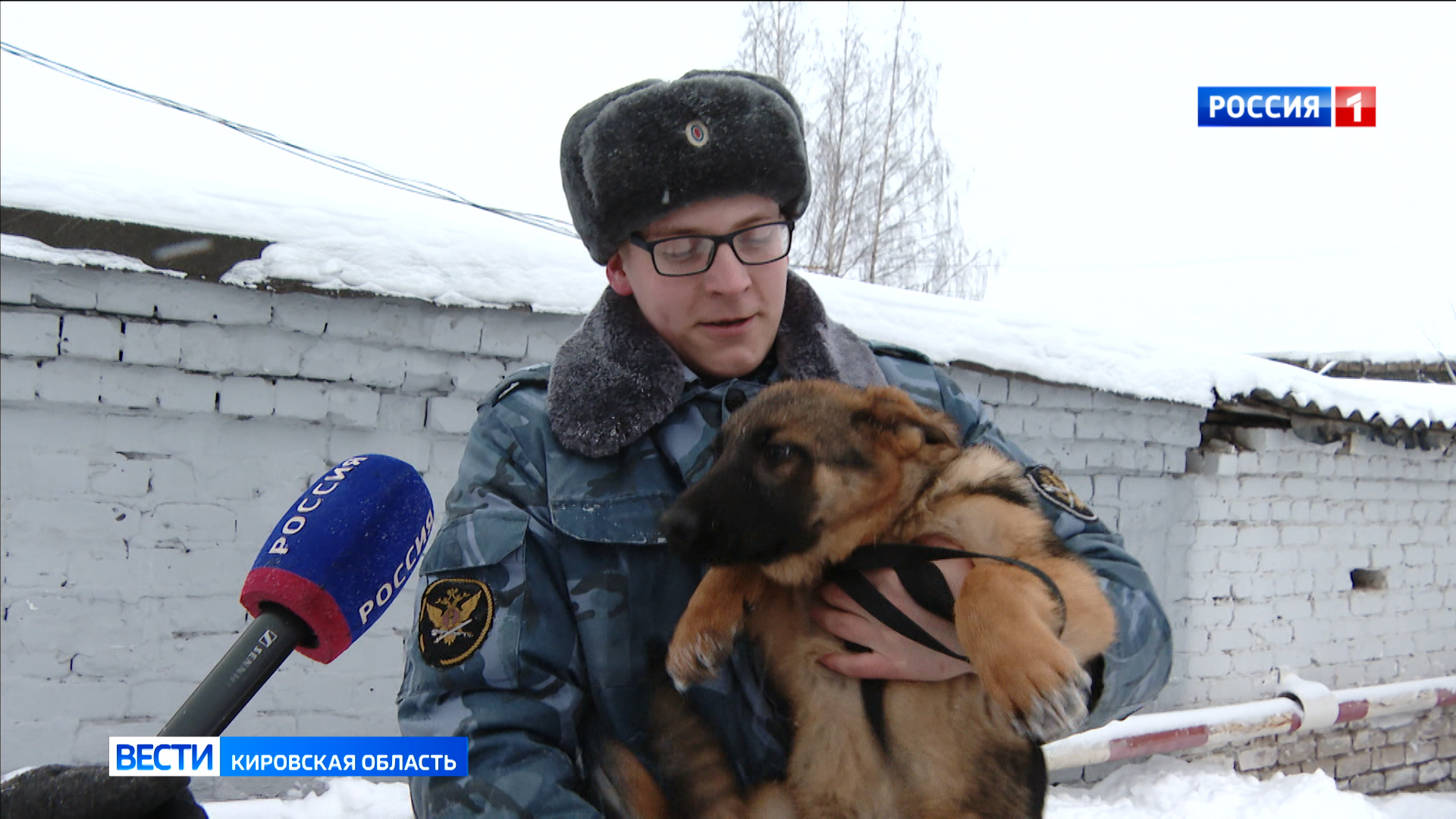 Три щенка немецкой овчарки пополнили ряды кинологической службы Кировской области