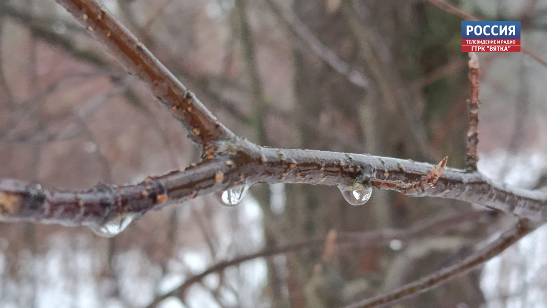В четверг в Кировской области прогнозируют снег, переходящий в дождь