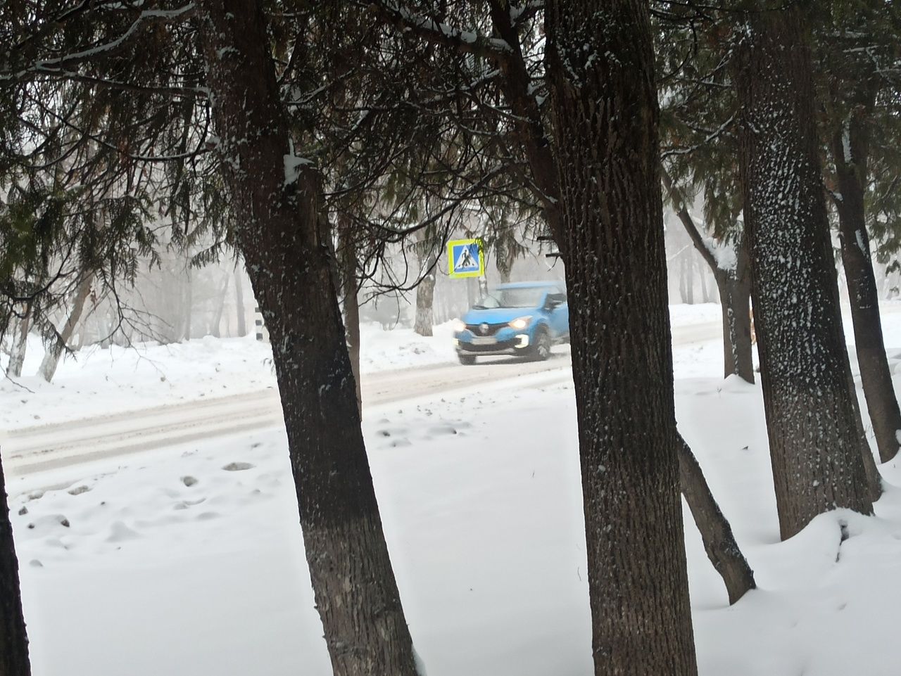 Кировчанам напомнили о соблюдении безопасности в снегопад