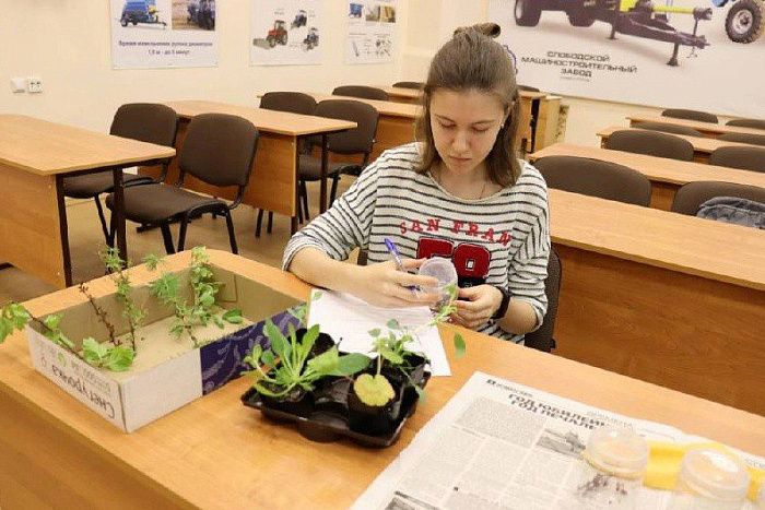 В Кировской области работают 152 агрокласса