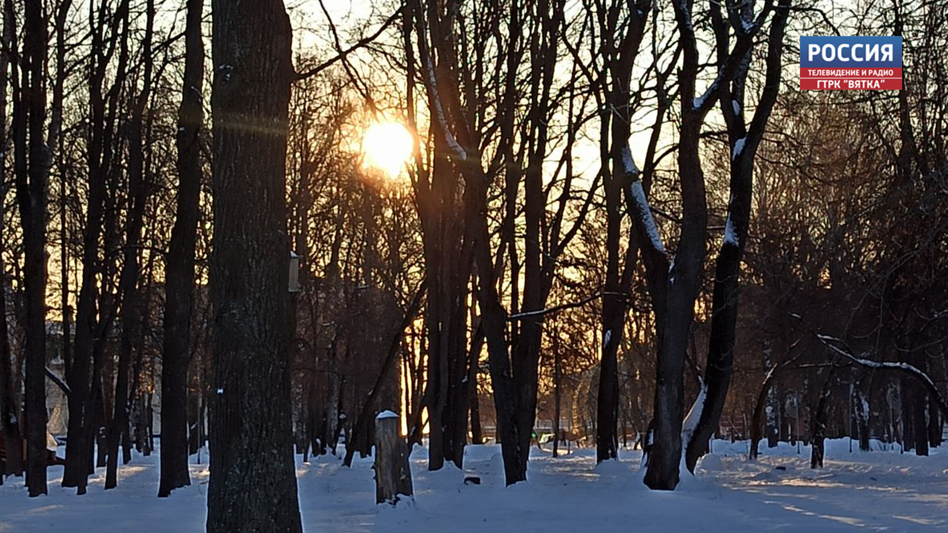 В Кировской области обещают туманную пятницу
