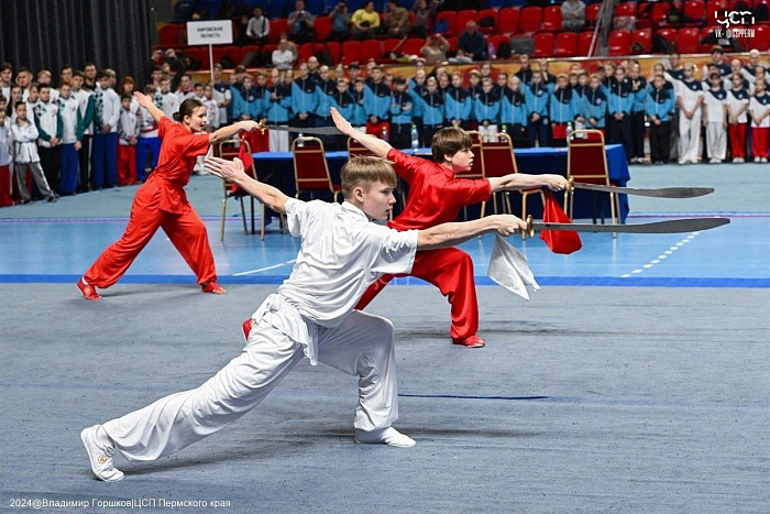 Кировские ушуисты по итогам Первенства ПФО привезли 175 медалей