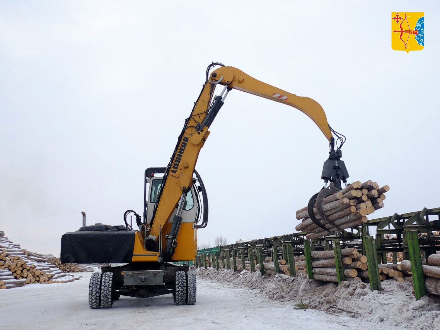 Губернатор Кировской области поручил разобраться в работе лесоперерабатывающих предприятий Демьяново