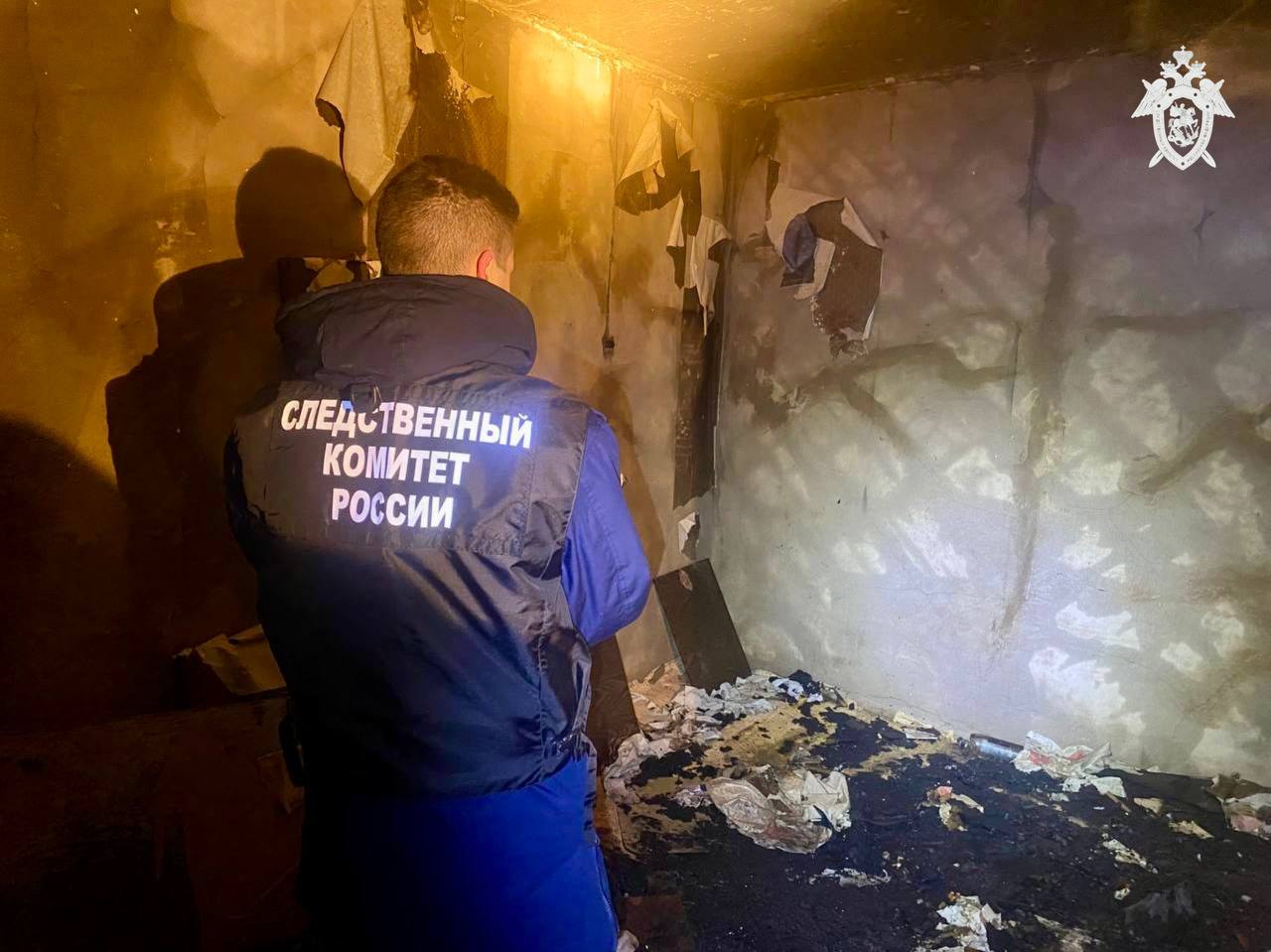 В результате пожара в Сосновке погиб человек