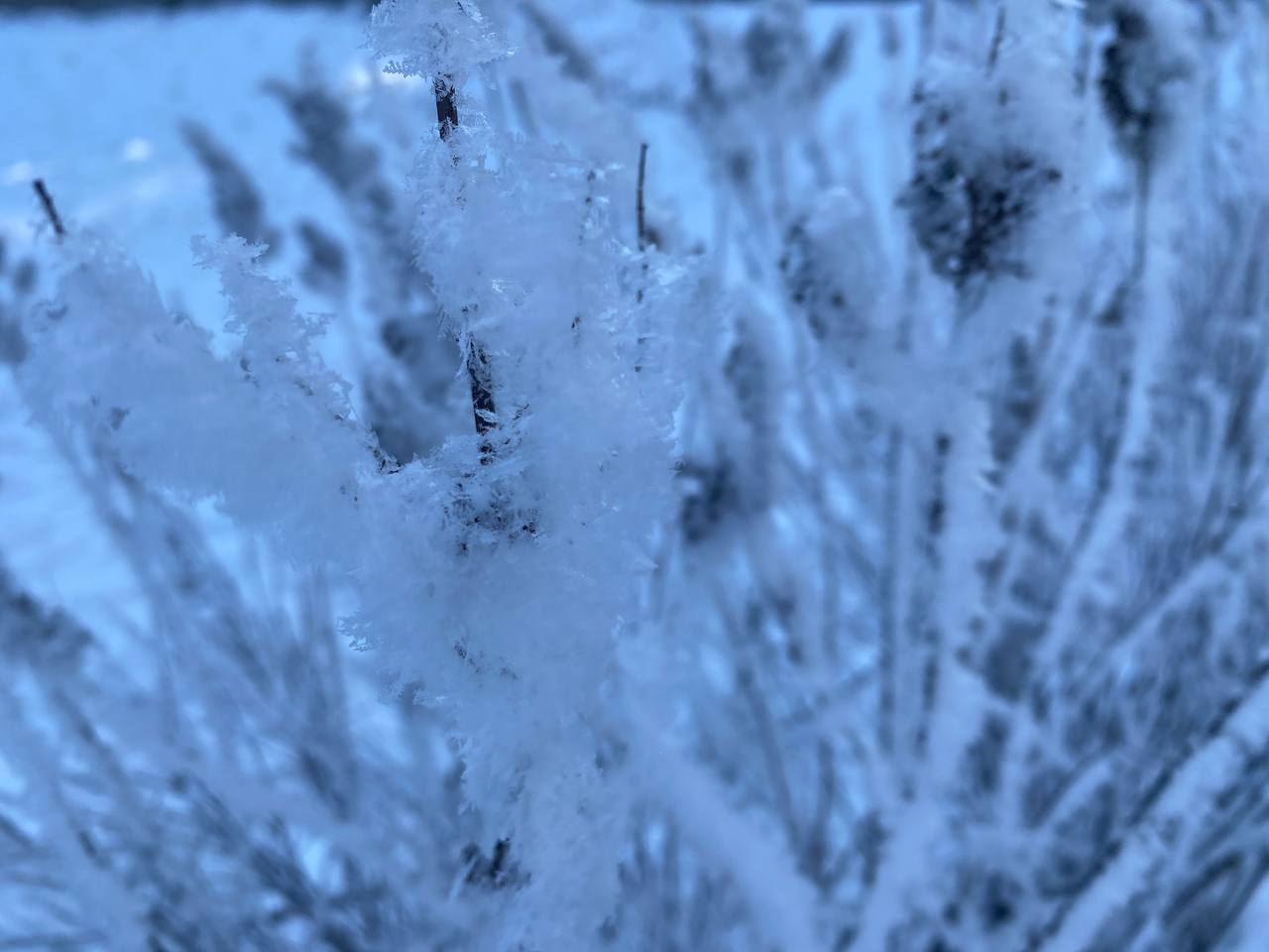 В понедельник жители Кировской области смогут наблюдать изморозь